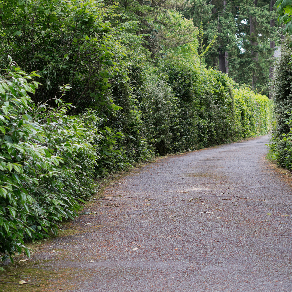 Quality Tarmaced Paved Driveway
